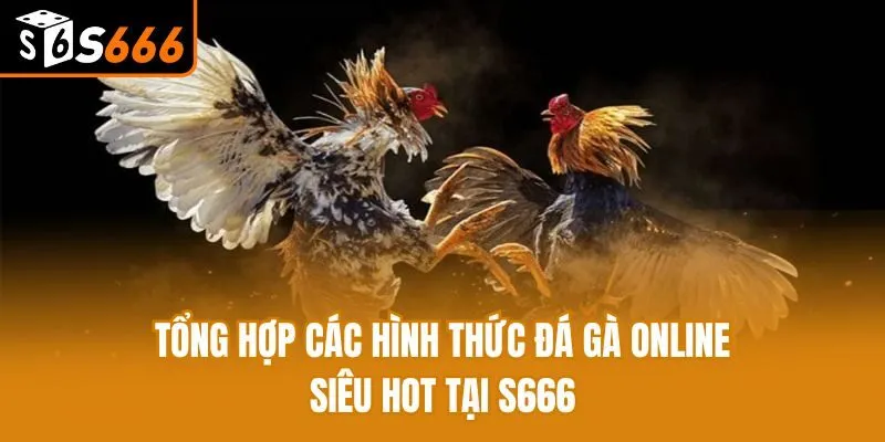 Tổng Hợp Các Hình Thức Đá Gà Online Siêu Hot Tại S666
